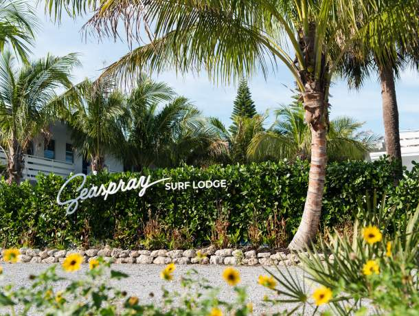 image_2026-04-04_101328153